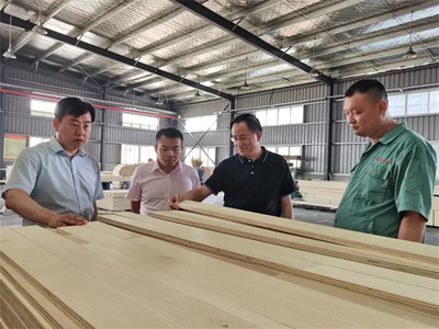 攜手共進，共筑未來——熱烈歡迎中國木材保護工業協會會長劉能文一行蒞臨福慶參觀考察指導